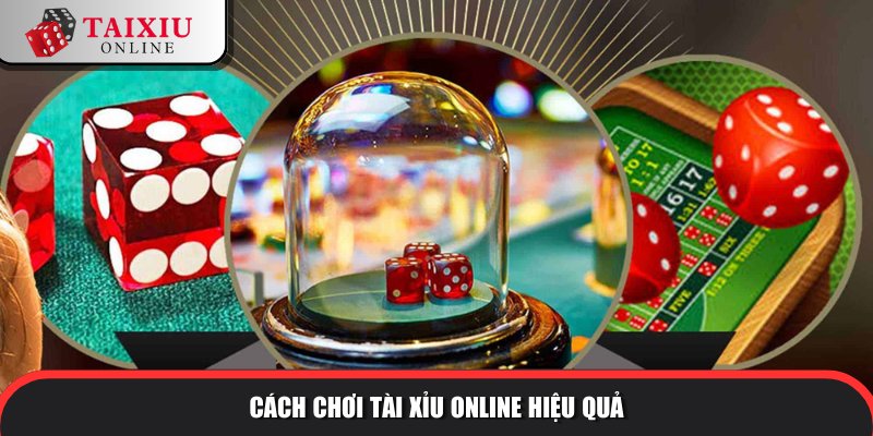 Cách chơi đơn giản mà cuốn hút