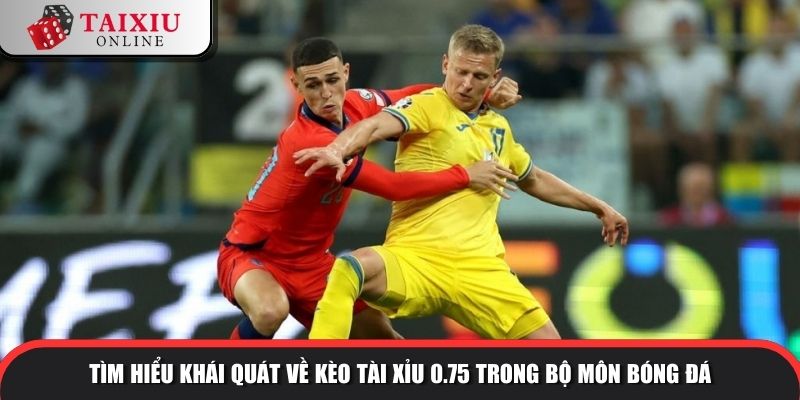 Tìm hiểu khái quát về kèo tài xỉu 0.75 trong bộ môn bóng đá
