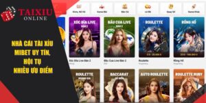 MIBET - Nhà Cái Tài Xỉu Uy Tín, Hội Tụ Rất Nhiều Ưu Điểm