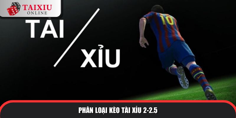 Có nhiều dạng tài xỉu 2-2.5 là gì