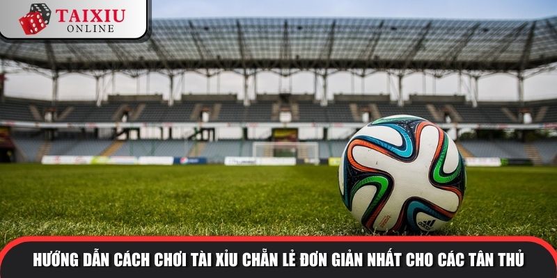 tai xiu chan le 1 1054 Hướng dẫn cách chơi tài xỉu chẵn lẻ đơn giản nhất cho các tân thủ